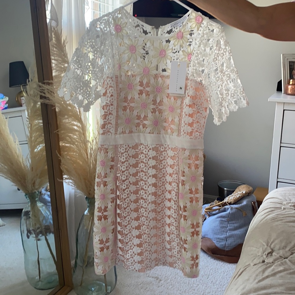 Endless rose lace daisy dress